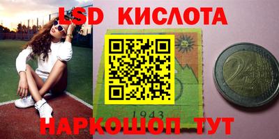тгк Бийск