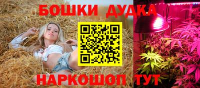 гашик Берёзовский