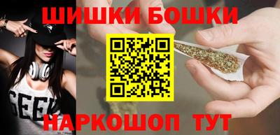 тгк Бийск