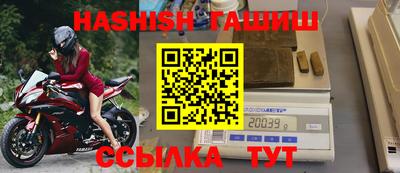тгк Бийск
