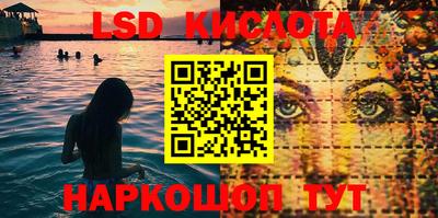 тгк Бийск