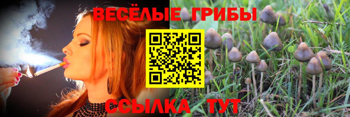 Ростов Великий  Галлюциногенные грибы мухоморы  закладка  Вход с VPN 